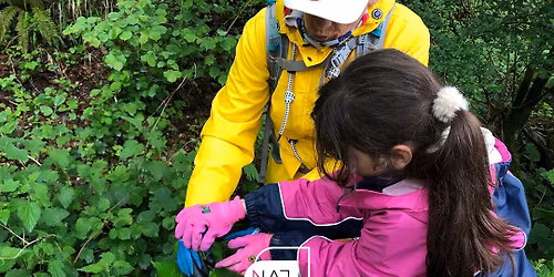 De B\u00ebsch schmaachen