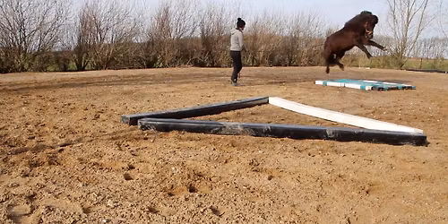 CCH live i Ansager- demo og teori \ud83e\udd29