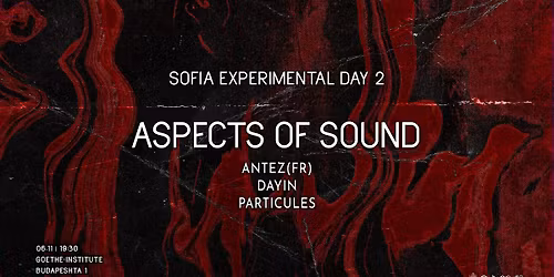 Aspects of Sound \/\/ Sofia Experimental 2025 Day 2