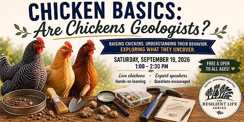 Chicken Basics #3: Are Chickens Geologists?