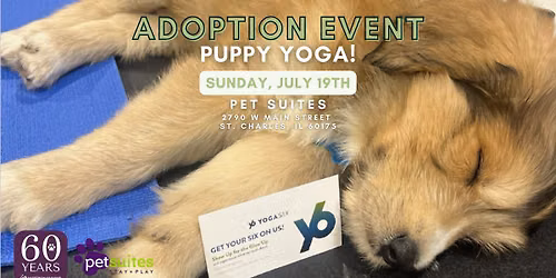 Puppy Yoga at St. Charles Pet Suites