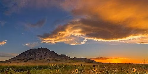 Rez'ilience In Recovery