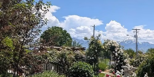 Wednesday Walk-Throughs: Volunteers of America Detox Center Garden - FREE!
