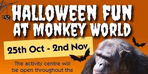 Half Term at Monkey World!