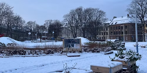 Hvordan vil du at utviklingen p\u00e5 Lademoen skal skje framover?