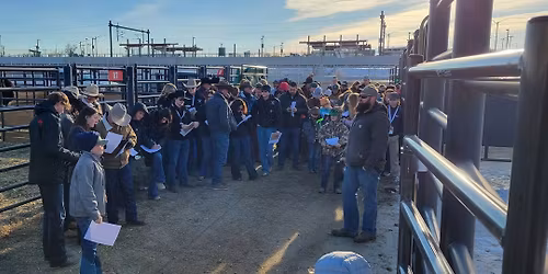 2026 Larry Higgins Bison Junior Judging Contest