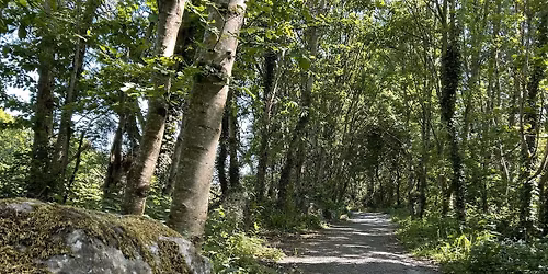 Trails & Tales: A Journey along the Nature Trails & Boreens of Galway city