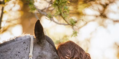 Liv @ The Honey Lounge