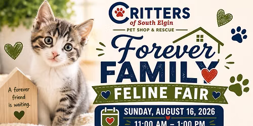 \ud83c\udfe1 Forever Family Feline Fair-August 16th