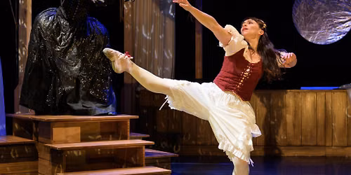 Luca Silvestrini's The Magic Flute