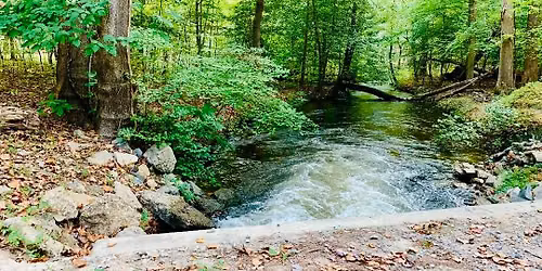 \ud83c\udf32\ud83e\udd7e Harwood Mills Forest Adventure (5.5 Miles) \ud83c\udf3f\ud83c\udf0a