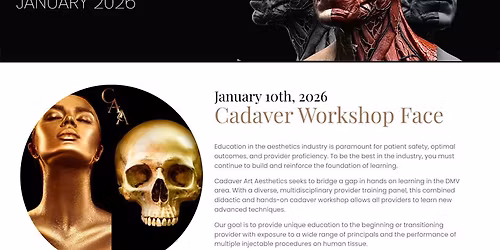 Cadaver Art Aesthetics