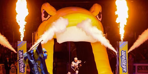 Toledo Walleye at Indy Fuel at Fishers Event Center
