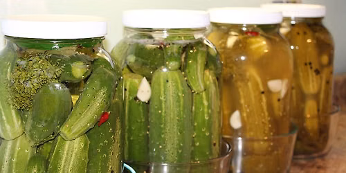 Lacto-Fermented Pickles Workshops