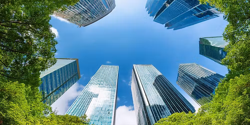 Rewilding our Cities: Ferio Saxophone Quartet & Dew Dance