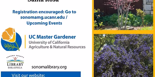 Native Trees and Large Shrubs for the Home Garden