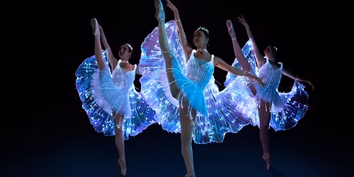 We call it Ballet La Belle au bois dormant