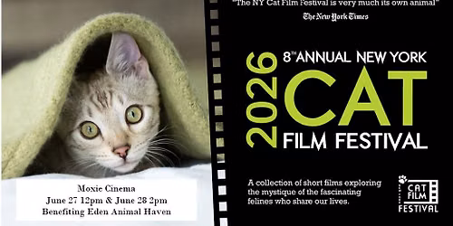 Cat film festival benefiting Eden Animal Haven Sunday screening