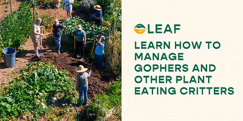 Learn how to Manage Gophers and other Plant Eating Pests