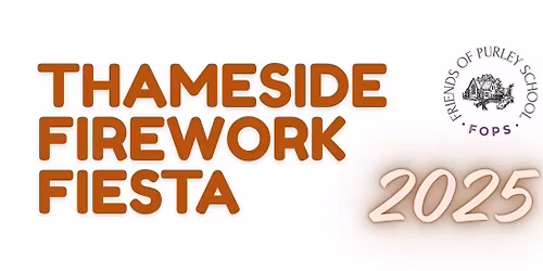 Thameside Firework Fiesta 2025