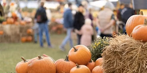 Halloween Fall Festival and Trunk or Treat