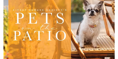 Pets on the Patio