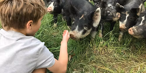 Farmessori- single farm day sessions for kids