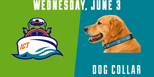 Tubs Week: Wetnose Wednesday + Dog Collar Giveaway