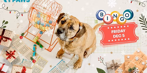 PAWS Holiday Bingo