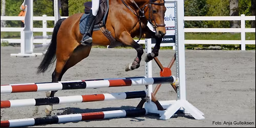 Haugesund-Spretten 2026