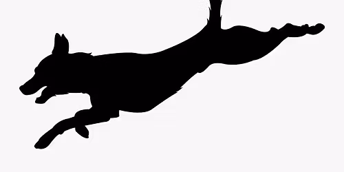 M\u00e1jov\u00e9 sk\u00fa\u0161ky 2025