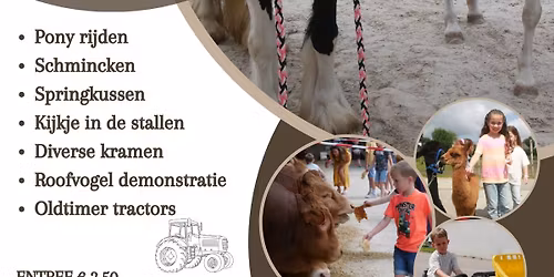 Kieboom's zomerfair