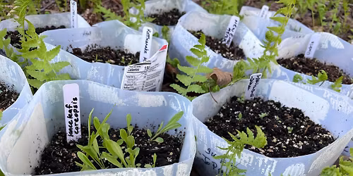 Seed Sowing Workshop