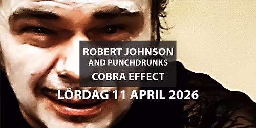 ROBERT JOHNSON AND PUNCHDRUNKS - COBRA EFFECT
