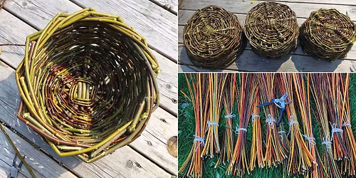 Willow Basket Weaving - Beginners Workshop