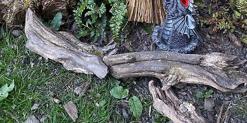 \ud83c\udf31\ud83c\udf37Wild Witch Women's Circle - Summer Well-being (first session free)