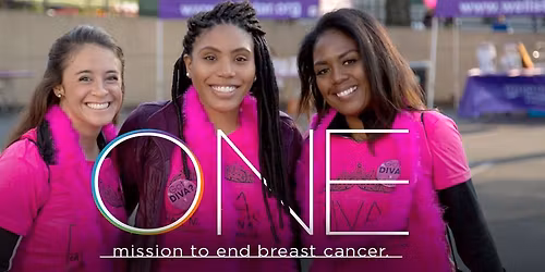 2026 Pittsburgh MORE THAN PINK Walk