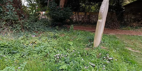 ST MARY'S CHURCHYARD TIDY-UP