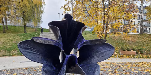 Aplink menamus Trak\u0173 vartus