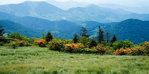 Introduction to Appalachian Ecology