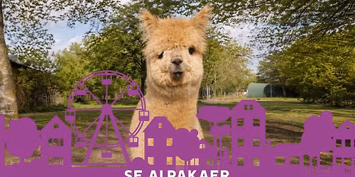 Kom og se en s\u00f8d Alpaka 