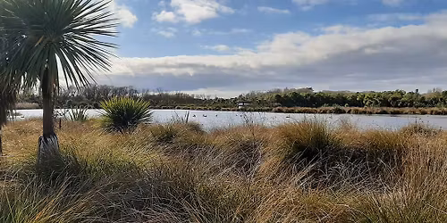 \u014cruapaeroa - Travis Wetland Community Planting Event