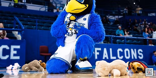 Teddy Bear Toss Game 