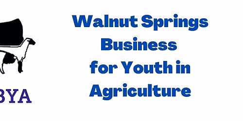 Annual WSBYA Fish Fry & Auction