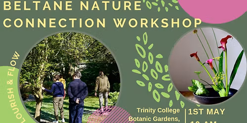 Beltane Nature Connection Workshop - Ikebana and Forest Bathing 