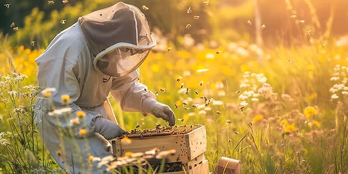 Let It "Bee" with Trumbull County Beekeepers Association at the Warren Library