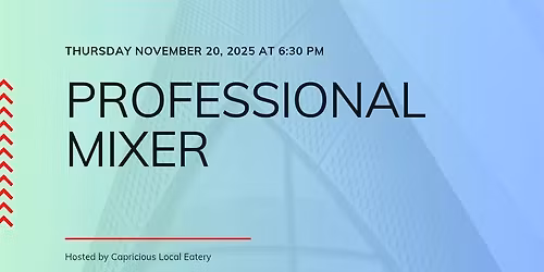 Professionals Networking Event
