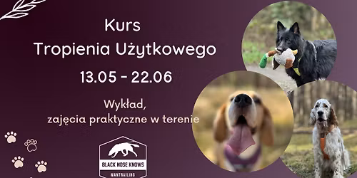 Kurs - Tropienia U\u017cytkowego (mantrailingu)
