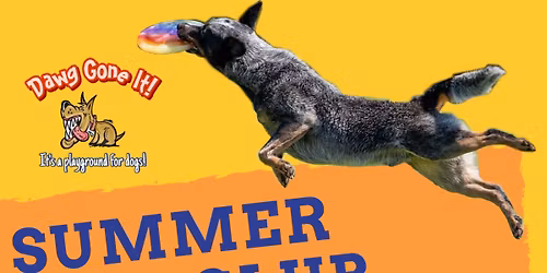 DGI\u2019s Summer UpDog Bite Club