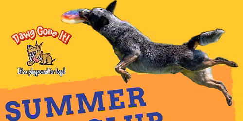 DGI\u2019s Summer UpDog Bite Club